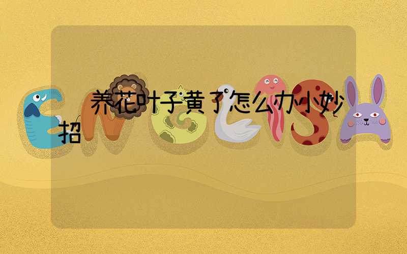  养花叶子黄了怎么办小妙招